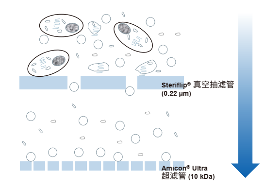 图片1(3).png